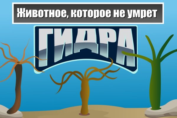 Кракен клир ссылка